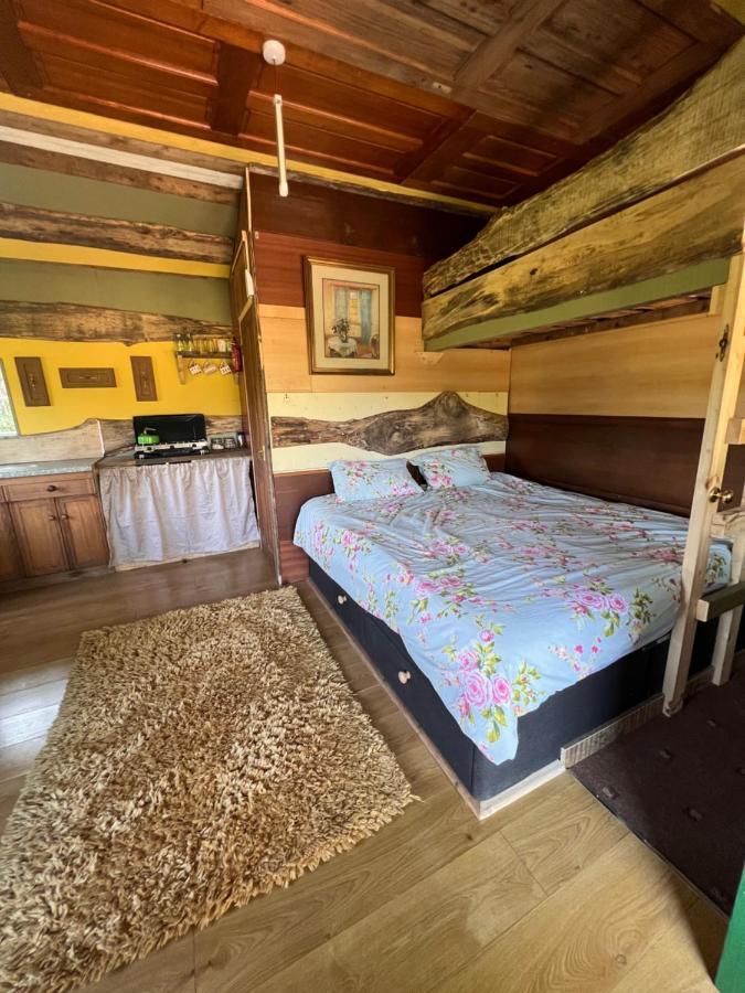 Foxglove Eco Lodge ラネリー エクステリア 写真
