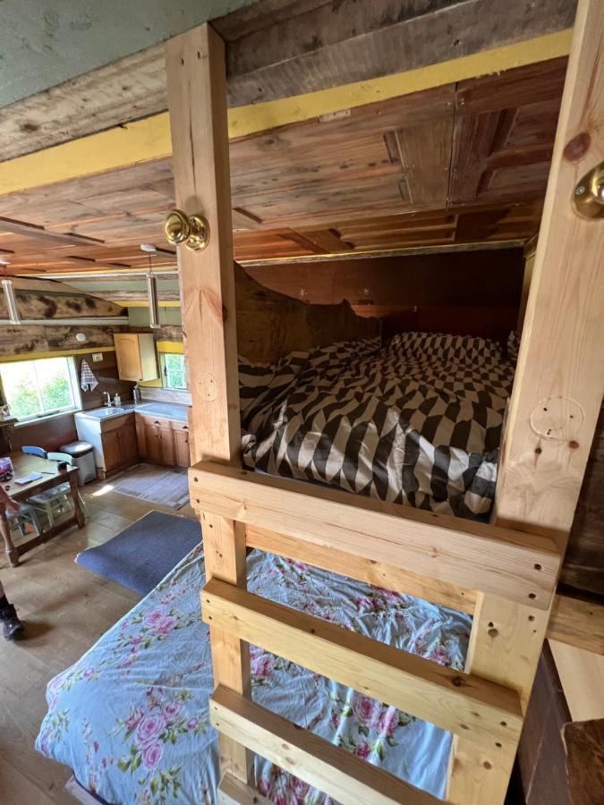 Foxglove Eco Lodge ラネリー エクステリア 写真