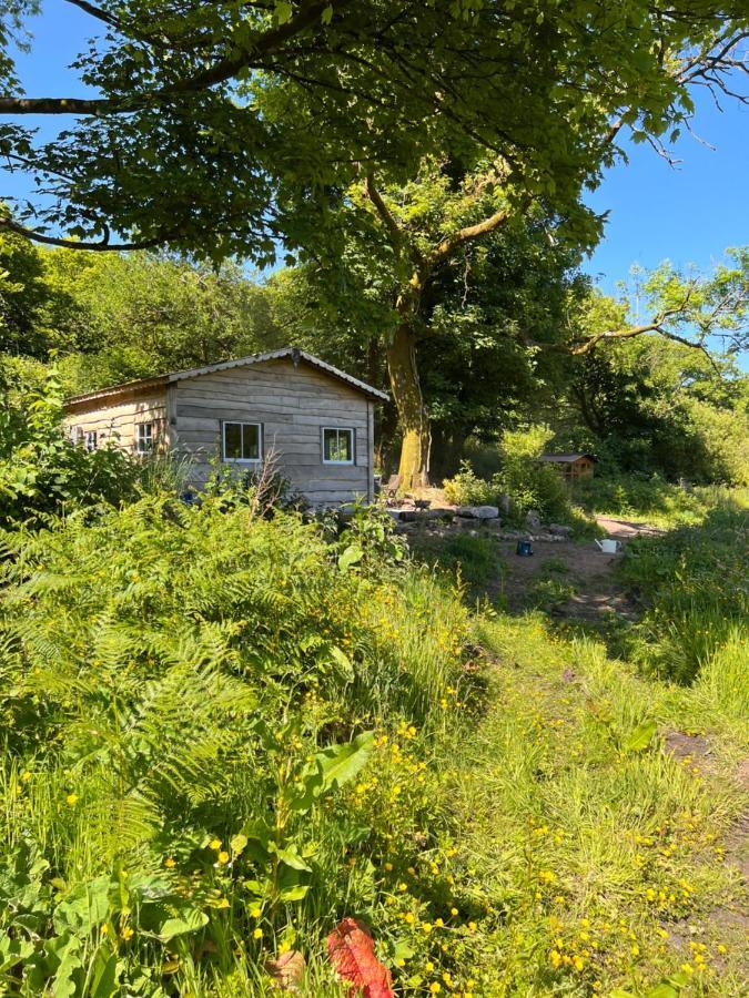 Foxglove Eco Lodge ラネリー エクステリア 写真